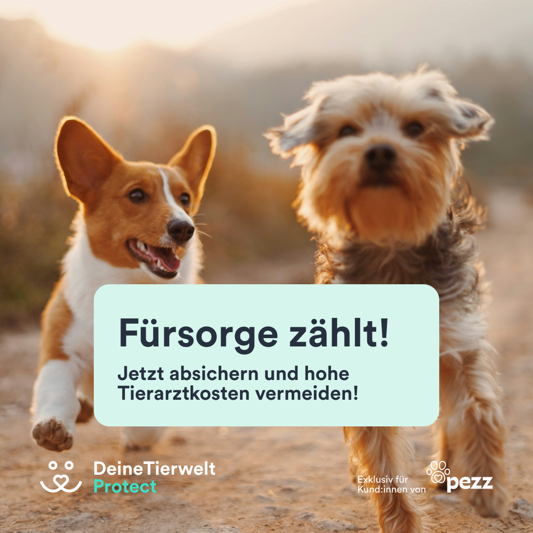Deine Tierwelt - Wurmschutzversicherung - CTA